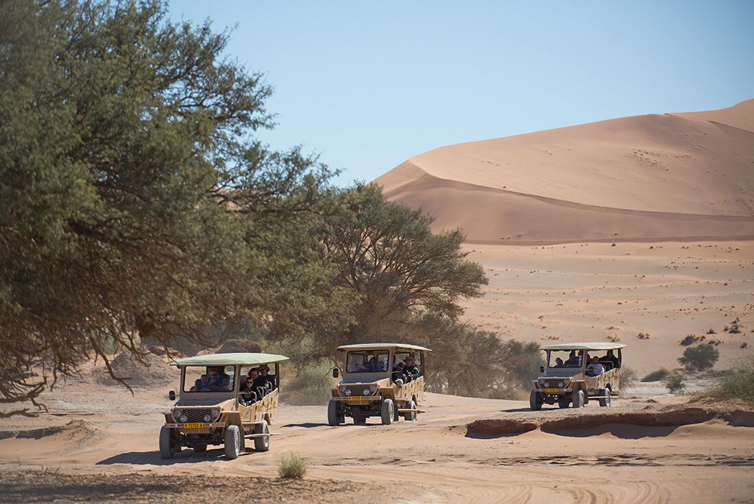 Namibia, Sossusvlei Lodge Excursion, guided nature drive