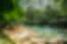 Your rainforest oasis at the Hotel Bosque del Mar