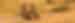 Privacy Policy - Contact Us Webform Banner