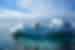 PPSH_Spitsbergen-Highlights_polar-bear_iceberg