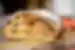 Authentic apple strudel found in Cotrina D'Ampezzo