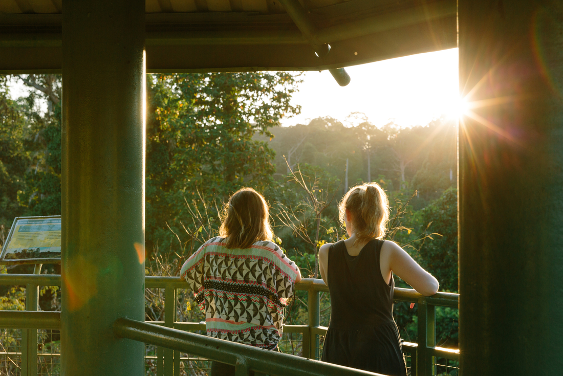 borneo_sepilok_rainforest_traveller-sunset
