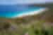 View of the Australian coastline with bright pink flowers high on cliff track