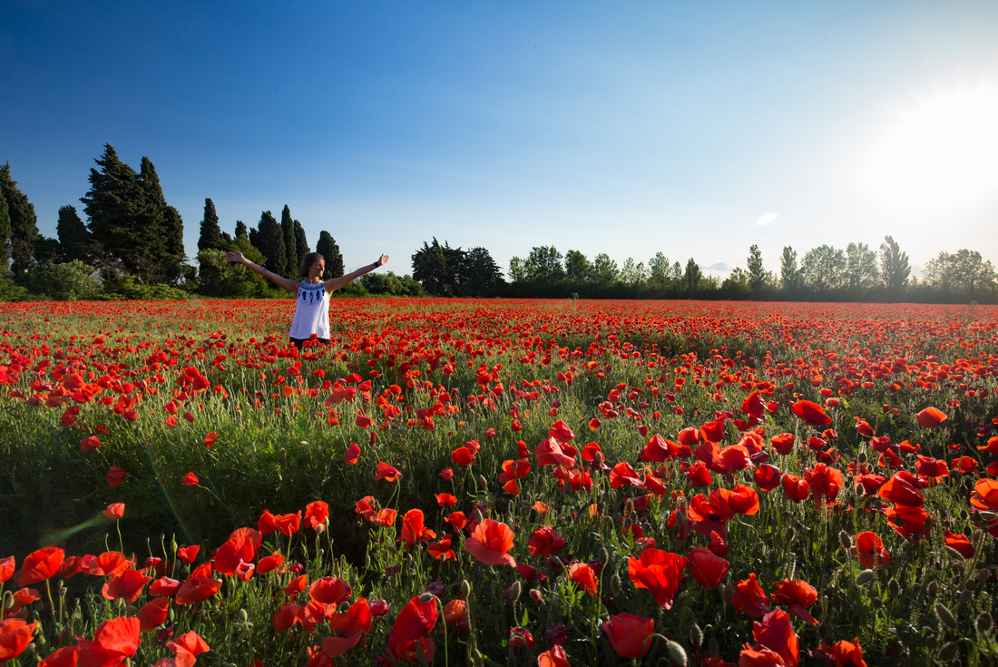 Cycle through Provence with Intrepid Travel