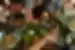Top down shot of travellers sharing a filipino meal with banana leaves