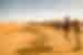 Travellers travel via camel into the Sahara desert
