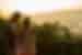 PVOS_queensland_noosa-heads_sunset_travellers