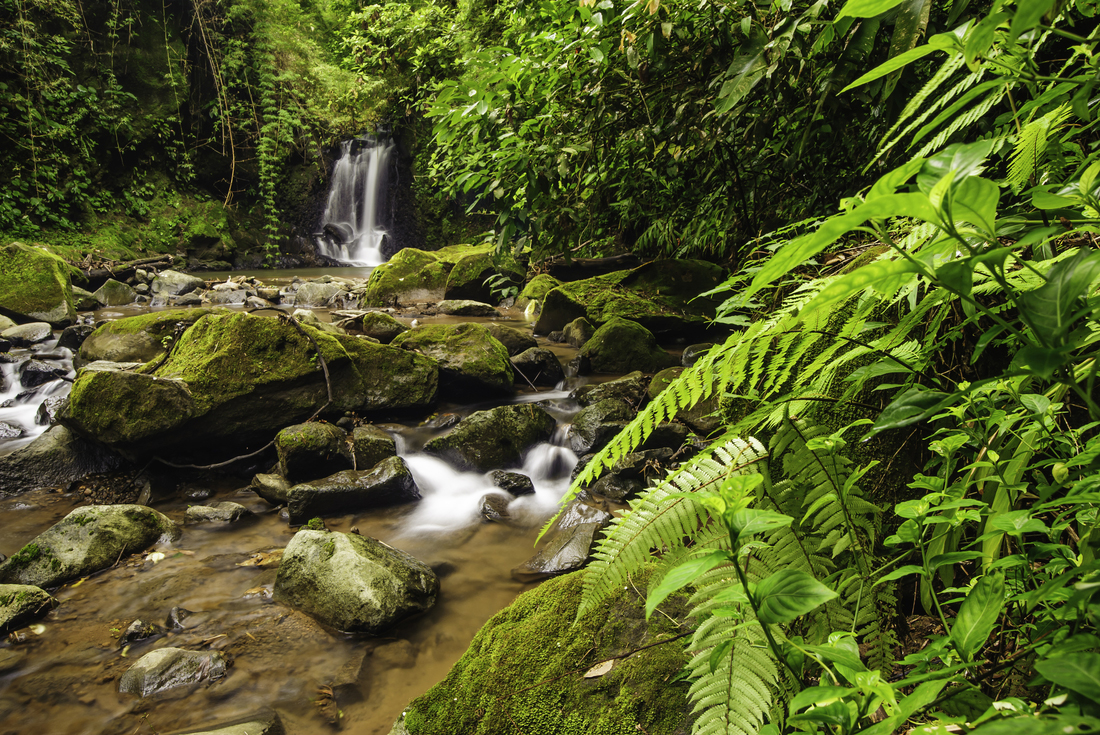 Intrepid Travel costa rica waterfall nature environment forest