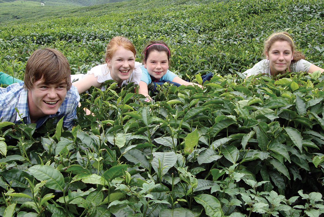 Kids laying in tea plantation, Borneo