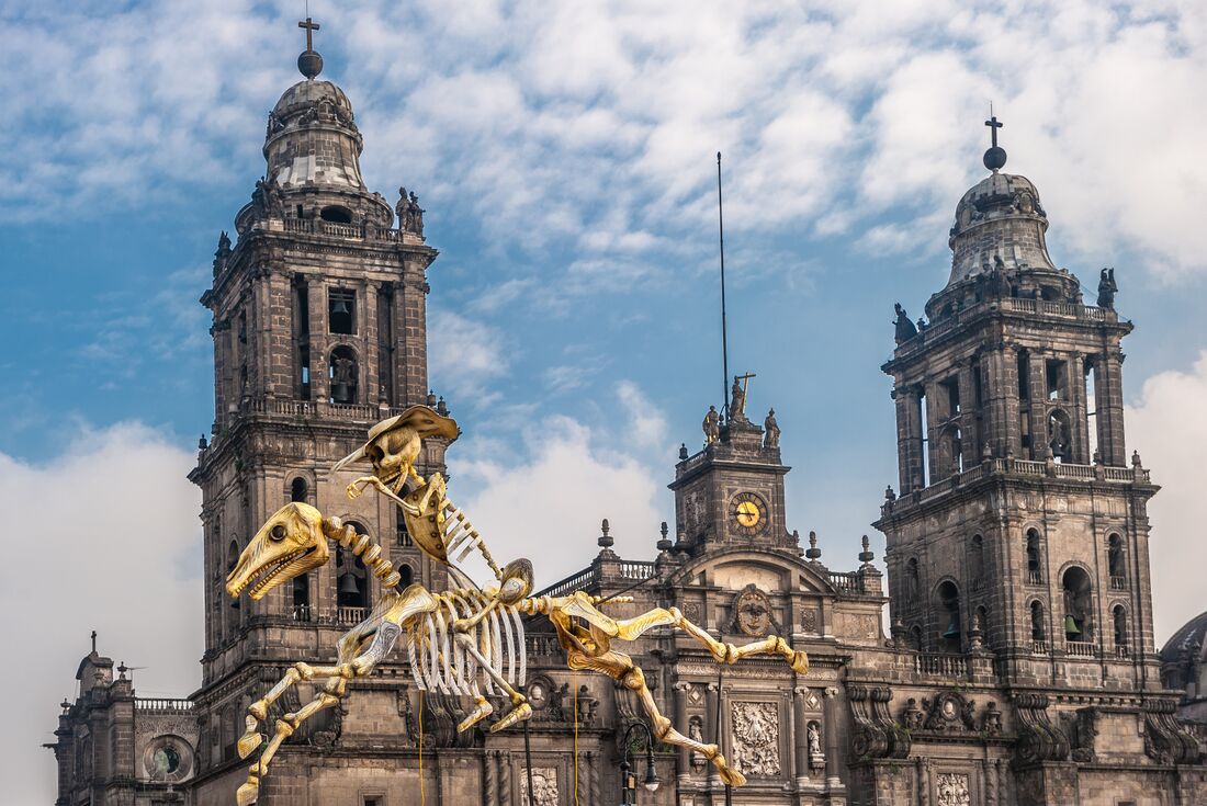 Mexico City cathedral day of the dead