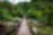 Boquete lost waterfalls path into the jungle in Panama