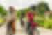 Group of Intrepid travellers and leader with happy faces cycling in Ninh Binh