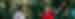 An Intrepid leader in red t-shirt gestures and smiles with a traveller in front of banana trees