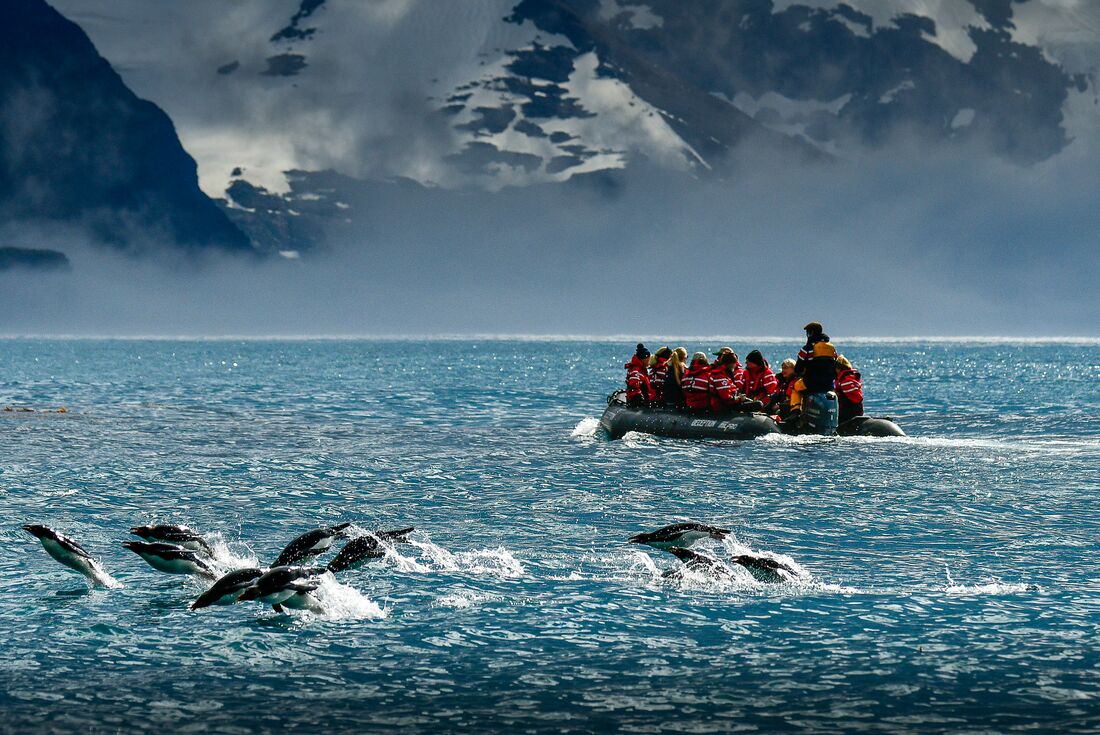 Penguins jump and swim in the ocean off Antarctica past a zodiac full of travellers