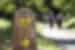spain_camino_de_santiatgo_pilgrims