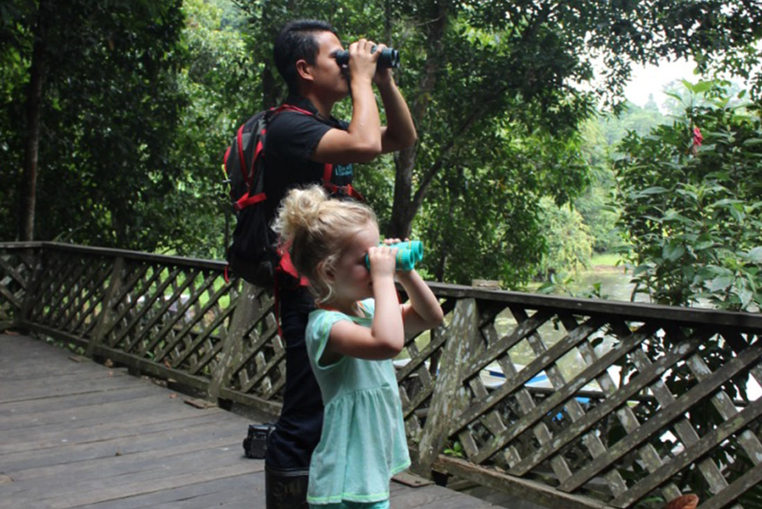Keep a look out for all manner of wildlife in the jungles of Borneo