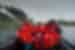 Travellers take a group shot on a zodiac ride off Melchior Islands in nothern Antarctica