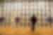 Spend some time at the Country music museum in Nashville, Tennessee