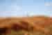 Travellers walking a high orange ridgeline in the Kimberley Western Australia