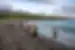 Intrepid travellers arrive on the black sands of Isla Isabela in the Galapagos