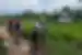 Follow your leader through the fascinating countryside of Vietnam