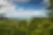 australia_queensland_cairns_daintree-rainforest