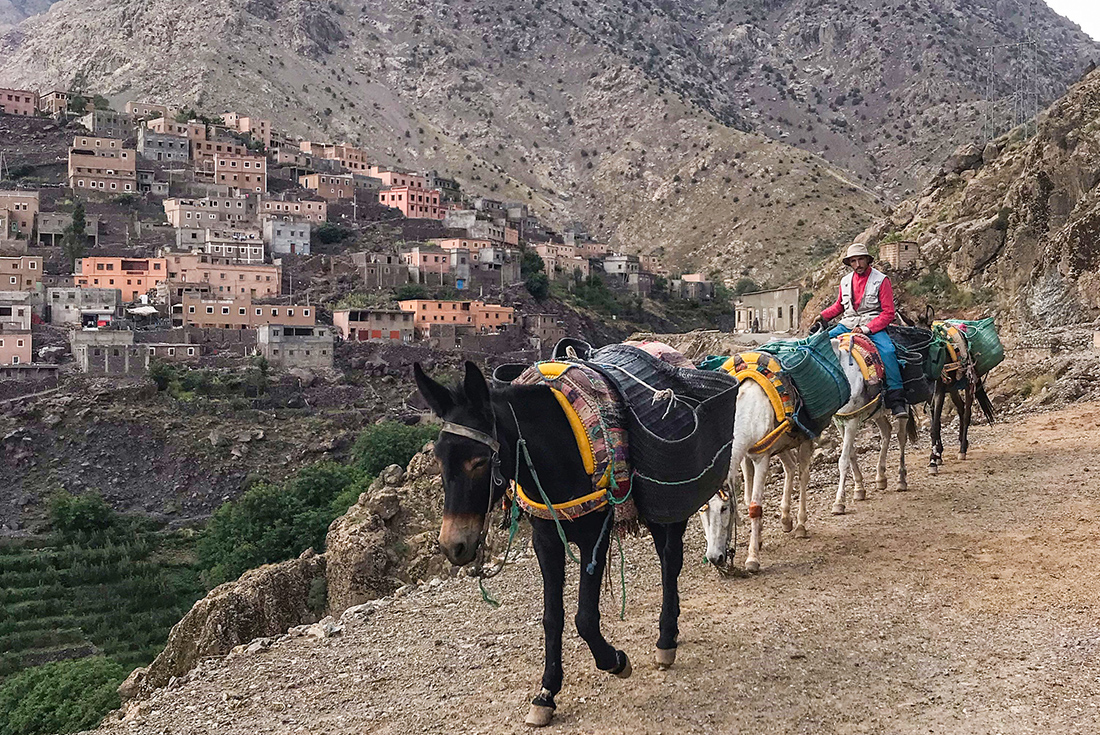 Mount Toubkal trek in Morocco