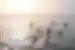 Intrepid travellers and leader floating in the Dead Sea in Jordan