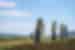 The neolithic Ring of Brodgar, a megalithic henge constructed around 2500 BCE, near Stromness