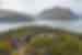 Group of travellers standing on a hill with the beautiful Lake Wanaka in the background in Wanaka, South Island, New Zealand